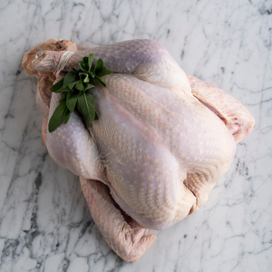 
                  
                    Load image into Gallery viewer, Free Range Whole Turkey
                  
                